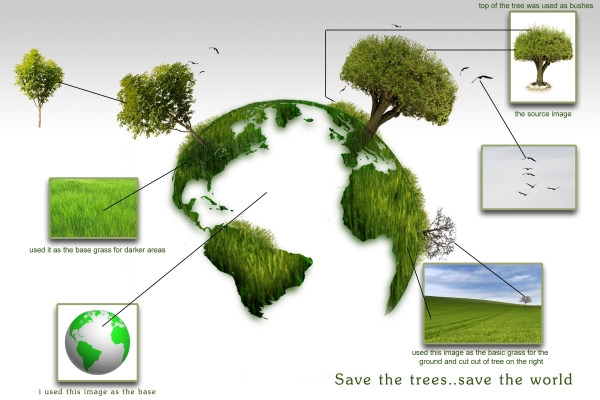 Creation of grow more trees: Step 1